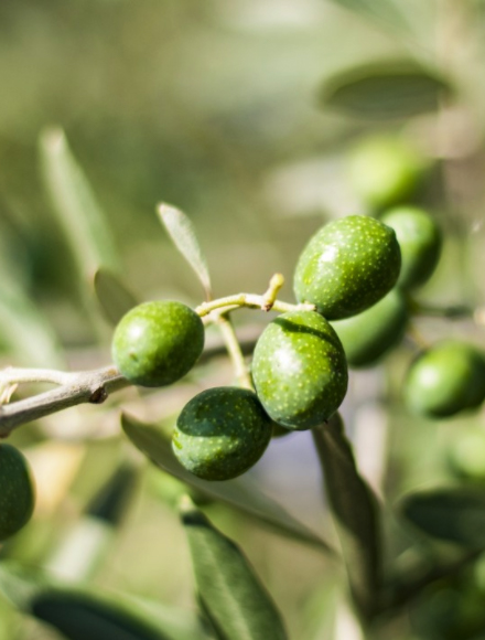 德赢·(VWIN)官方网站-AC米兰官方相助同伴