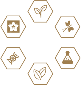 德赢·(VWIN)官方网站-AC米兰官方相助同伴