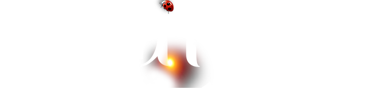 德赢·(VWIN)官方网站-AC米兰官方相助同伴