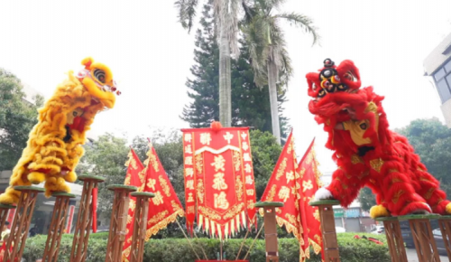 龙腾狮跃，，共铸绚烂未来！